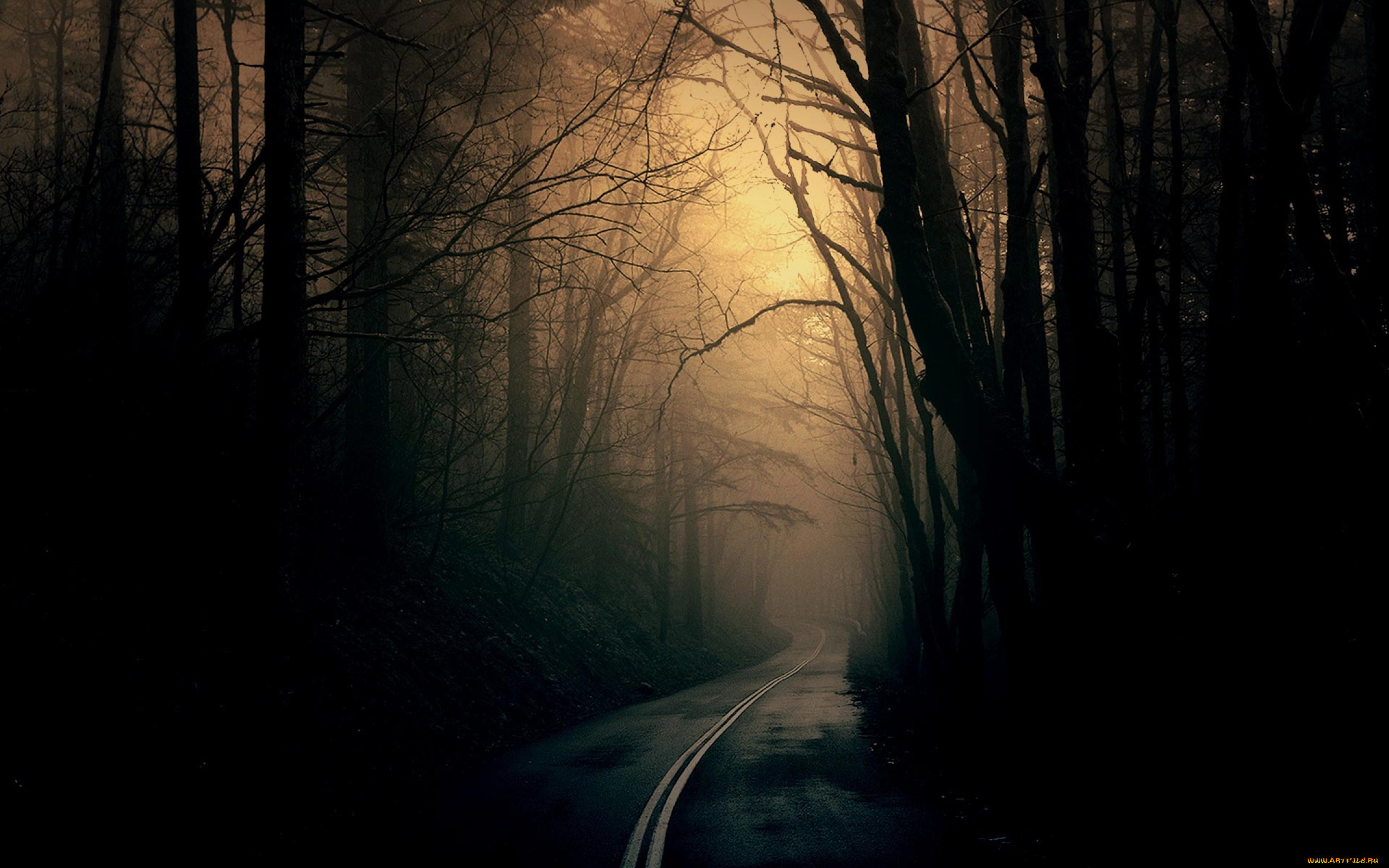 Темне т. Мрачная дорога в лесу. Мрачный лес. Темная дорога. Мрачные обои на рабочий стол.